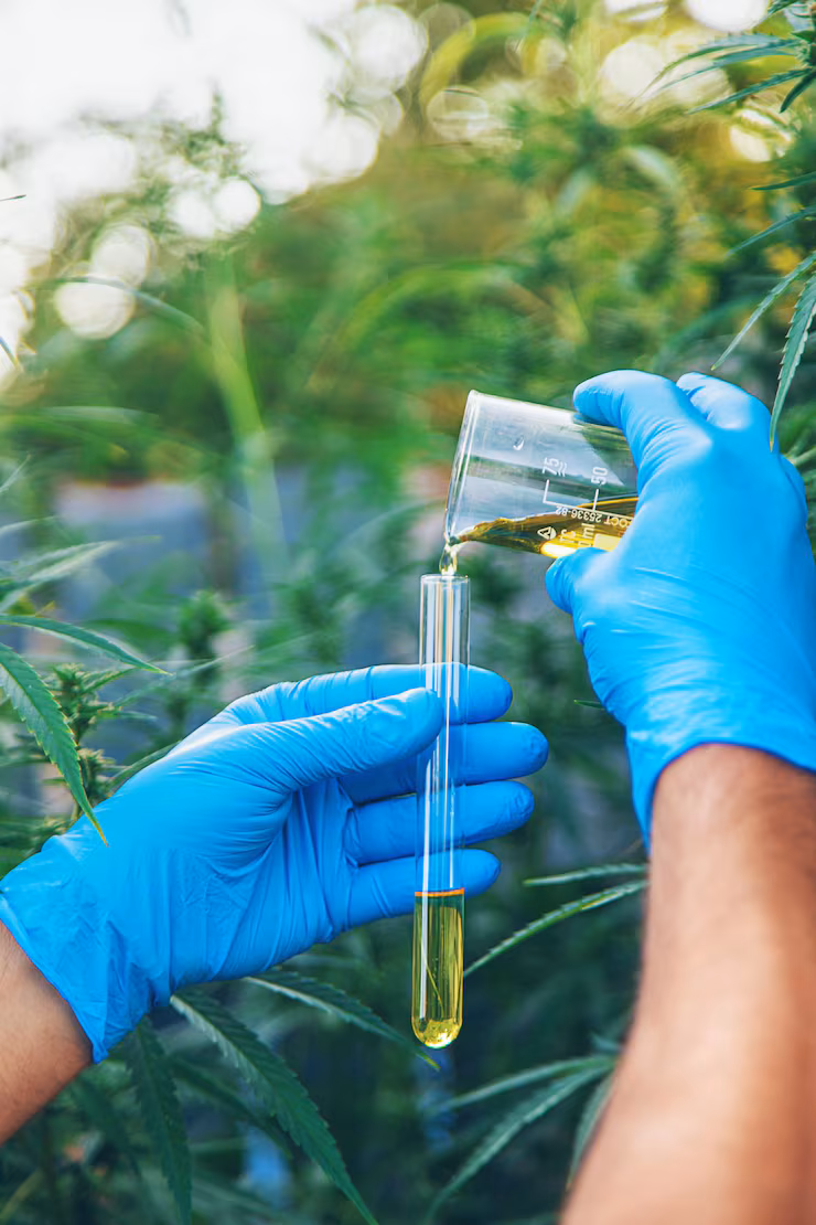 Smiling adult in a bright home environment, conveying wellness.